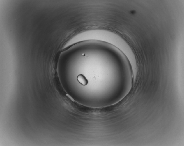 X0000112950264200908311515