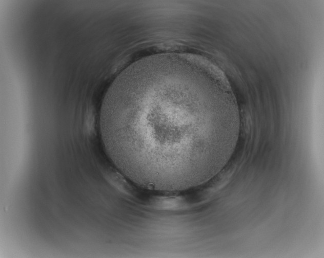 X0000112950266200908311515