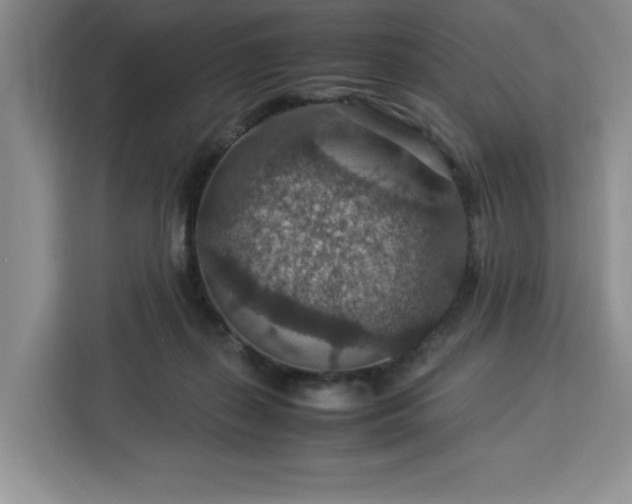 X0000112950267200908311515