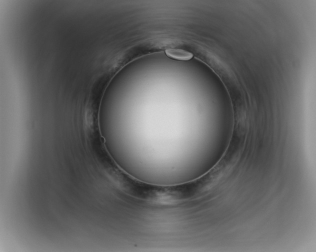 X0000112950268200908311515