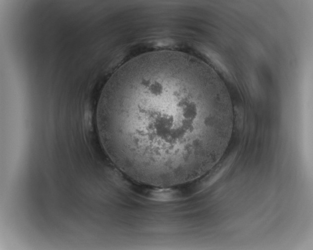 X0000112950269200908311515