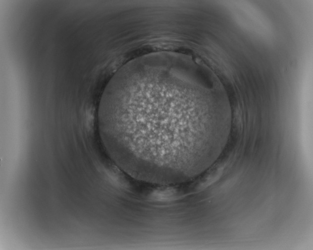 X0000112950271200908311515