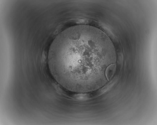 X0000112950273200908311515