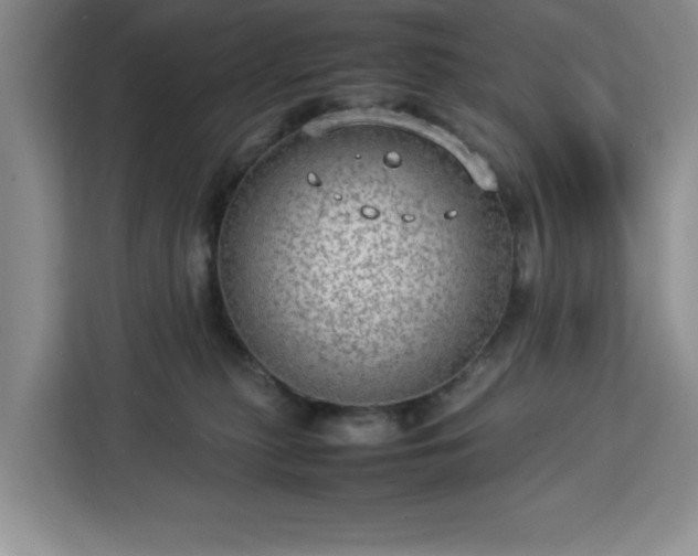 X0000112950279200908311515