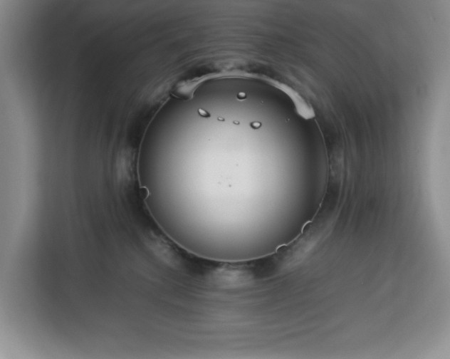 X0000112950280200908311515