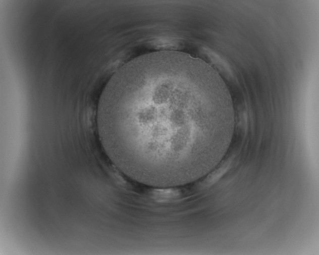 X0000112950281200908311515