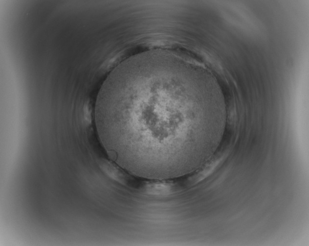 X0000112950282200908311515