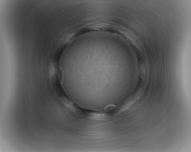 X0000112950284200908311515