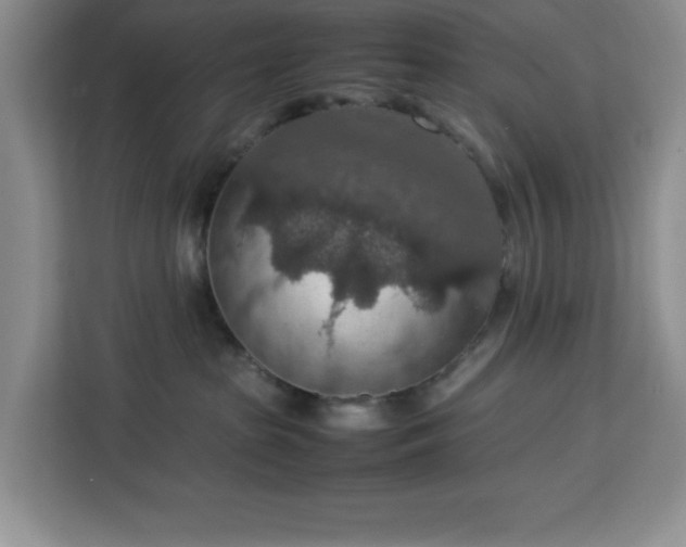 X0000112950285200908311515