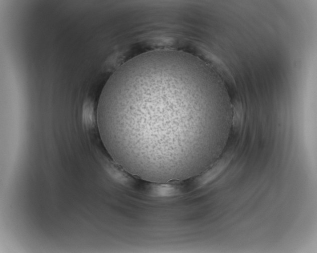 X0000112950287200908311515