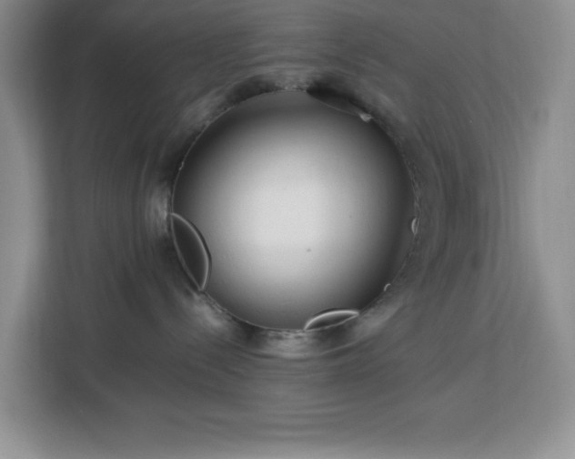 X0000112950288200908311515