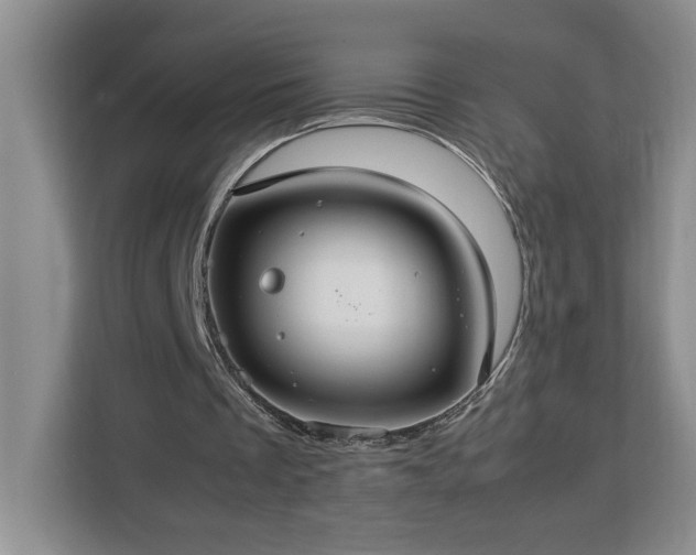 X0000112950289200908311515