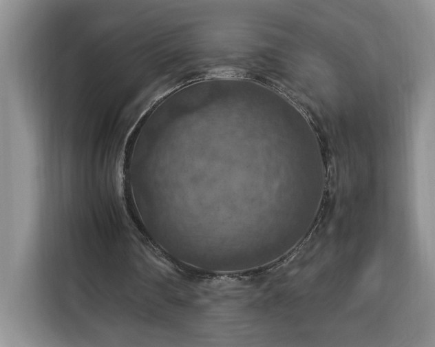 X0000112950290200908311515