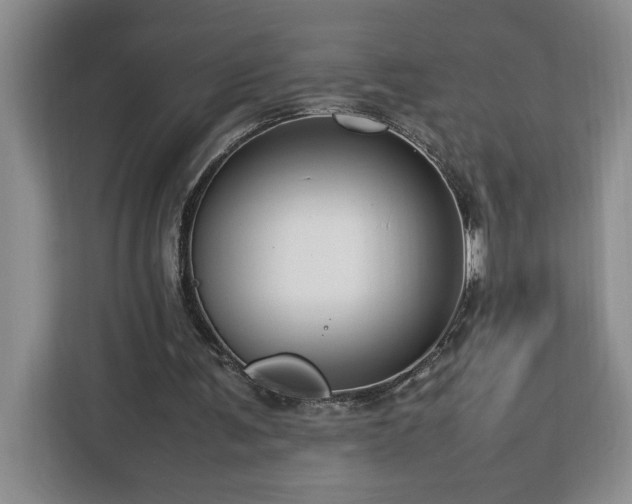 X0000112950291200908311515