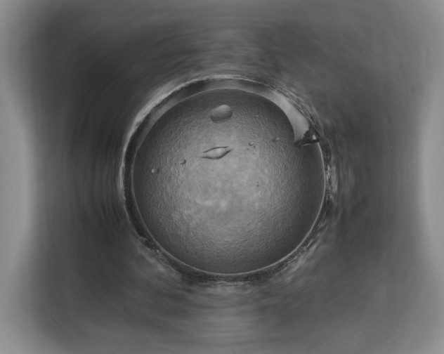 X0000112950292200908311515