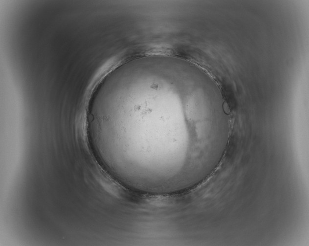 X0000112950293200908311515