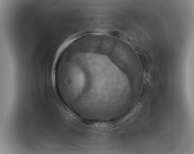 X0000112950294200908311515