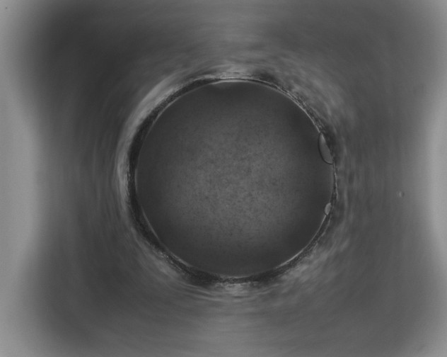 X0000112950295200908311515