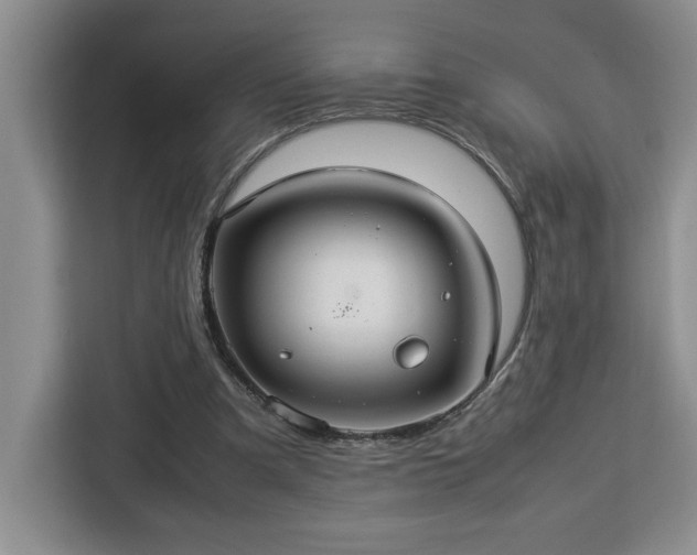 X0000112950297200908311515