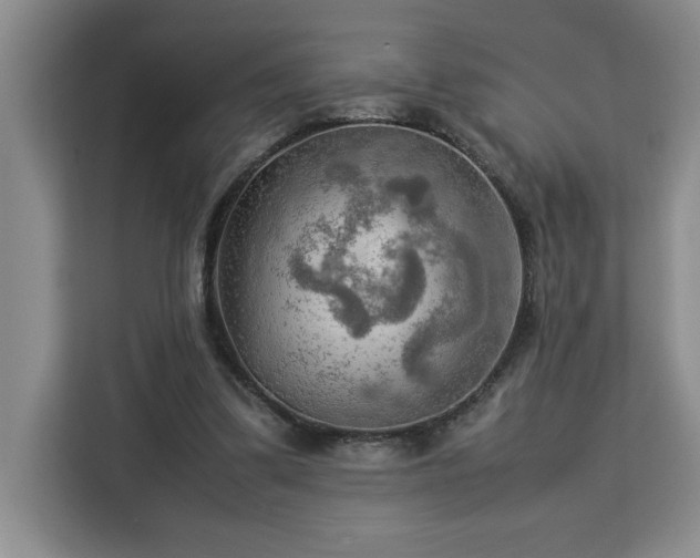 X0000112950299200908311515