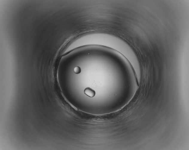 X0000112950300200908311515