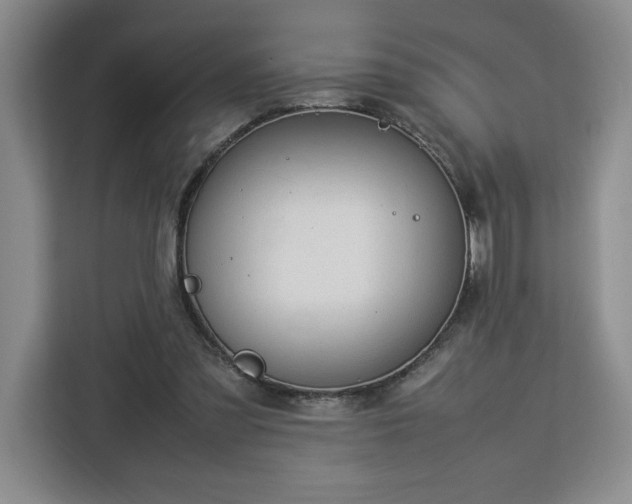 X0000112950301200908311515