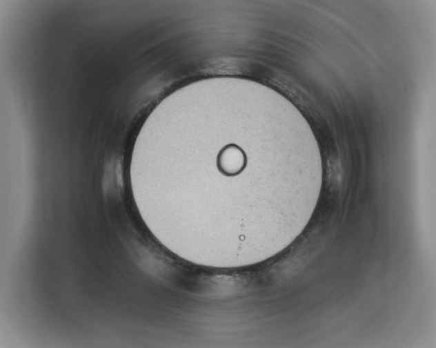 X0000112950302200908311515