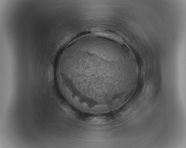 X0000112950303200908311515