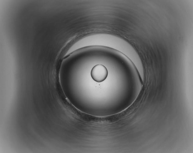 X0000112950304200908311515