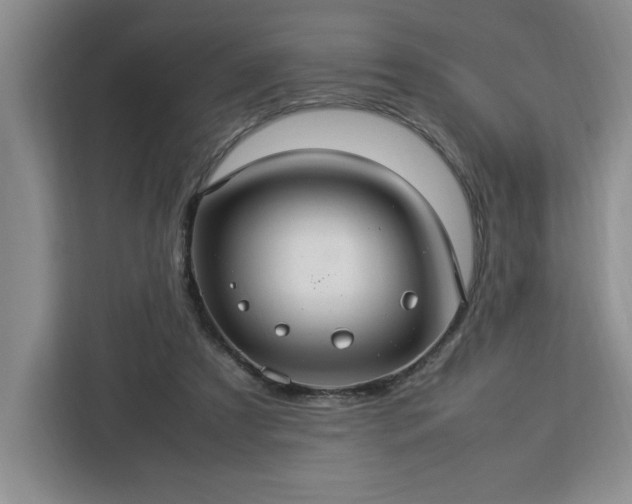 X0000112950305200908311515