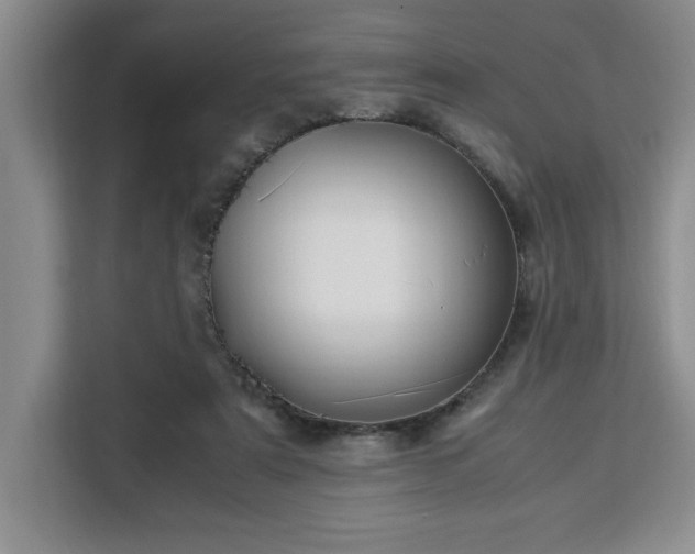 X0000112950307200908311515