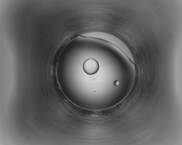 X0000112950308200908311515