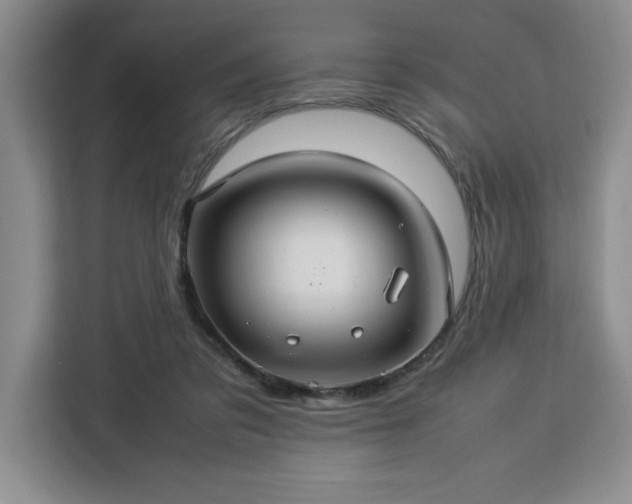 X0000112950309200908311515