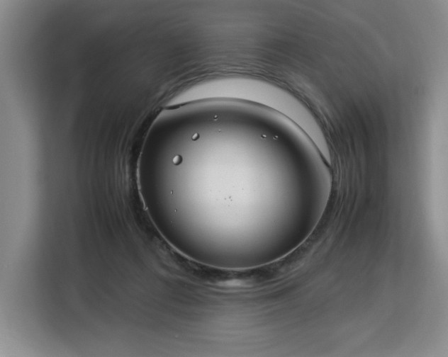 X0000112950312200908311515