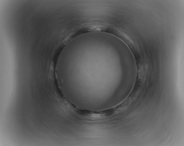 X0000112950314200908311514