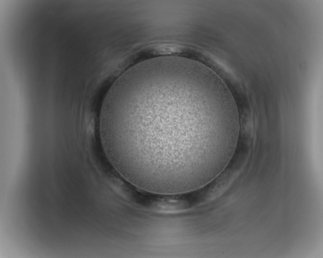 X0000112950315200908311514