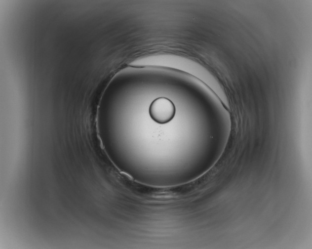 X0000112950316200908311514