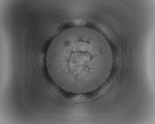 X0000112950319200908311514