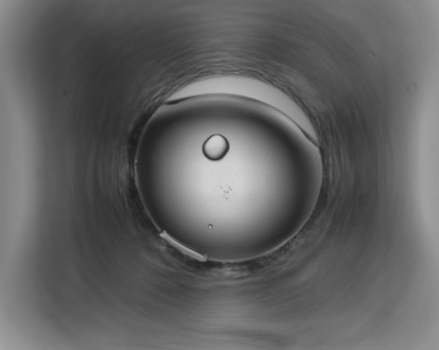 X0000112950320200908311514