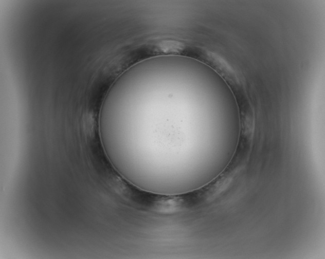 X0000112950321200908311514