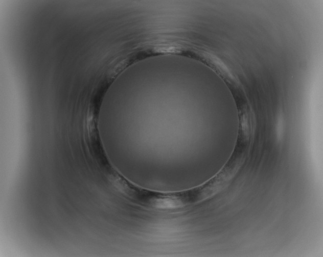 X0000112950322200908311514