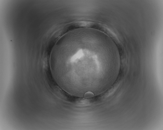 X0000112950325200908311514