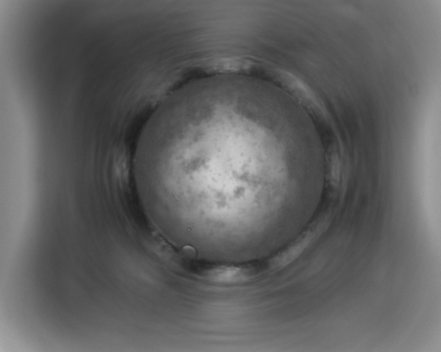 X0000112950326200908311514