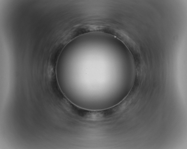 X0000112950327200908311514