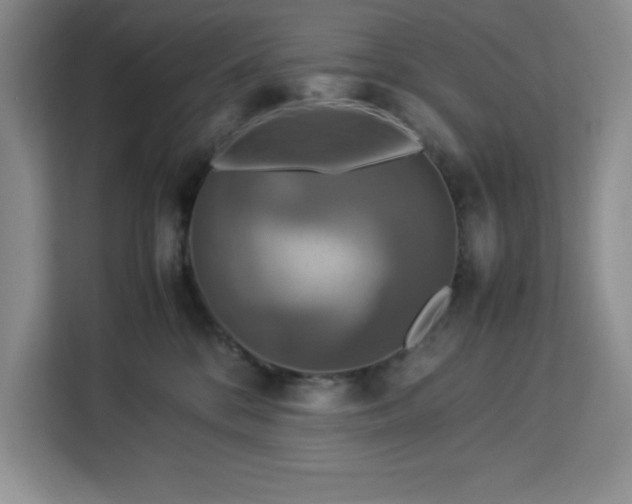 X0000112950328200908311514