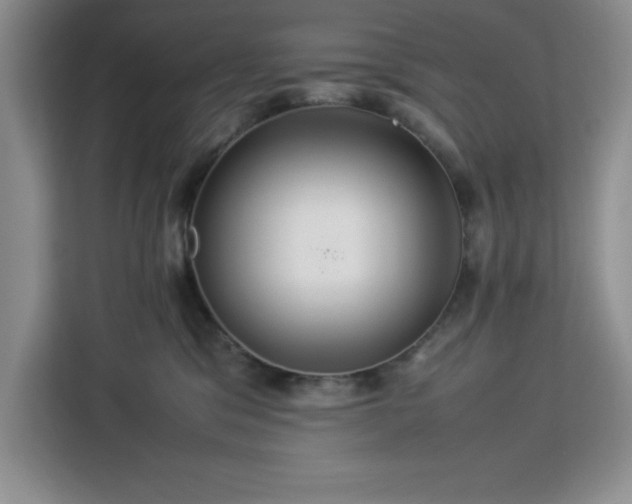 X0000112950329200908311514