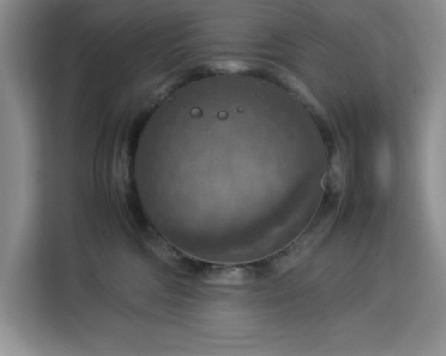 X0000112950330200908311514