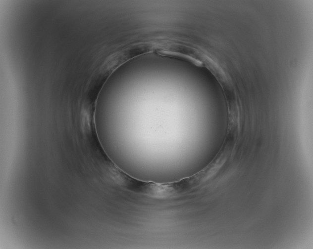 X0000112950333200908311514