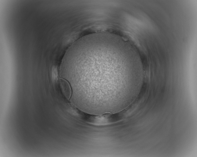 X0000112950335200908311514