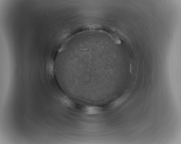 X0000112950336200908311514